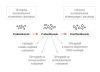 DuoLife Clinical Formula ProBactilardii® 