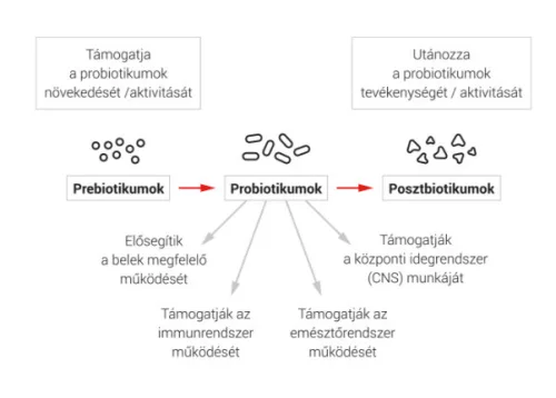 DuoLife Clinical Formula ProBactilardii® 