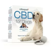CBD háziállatoknak